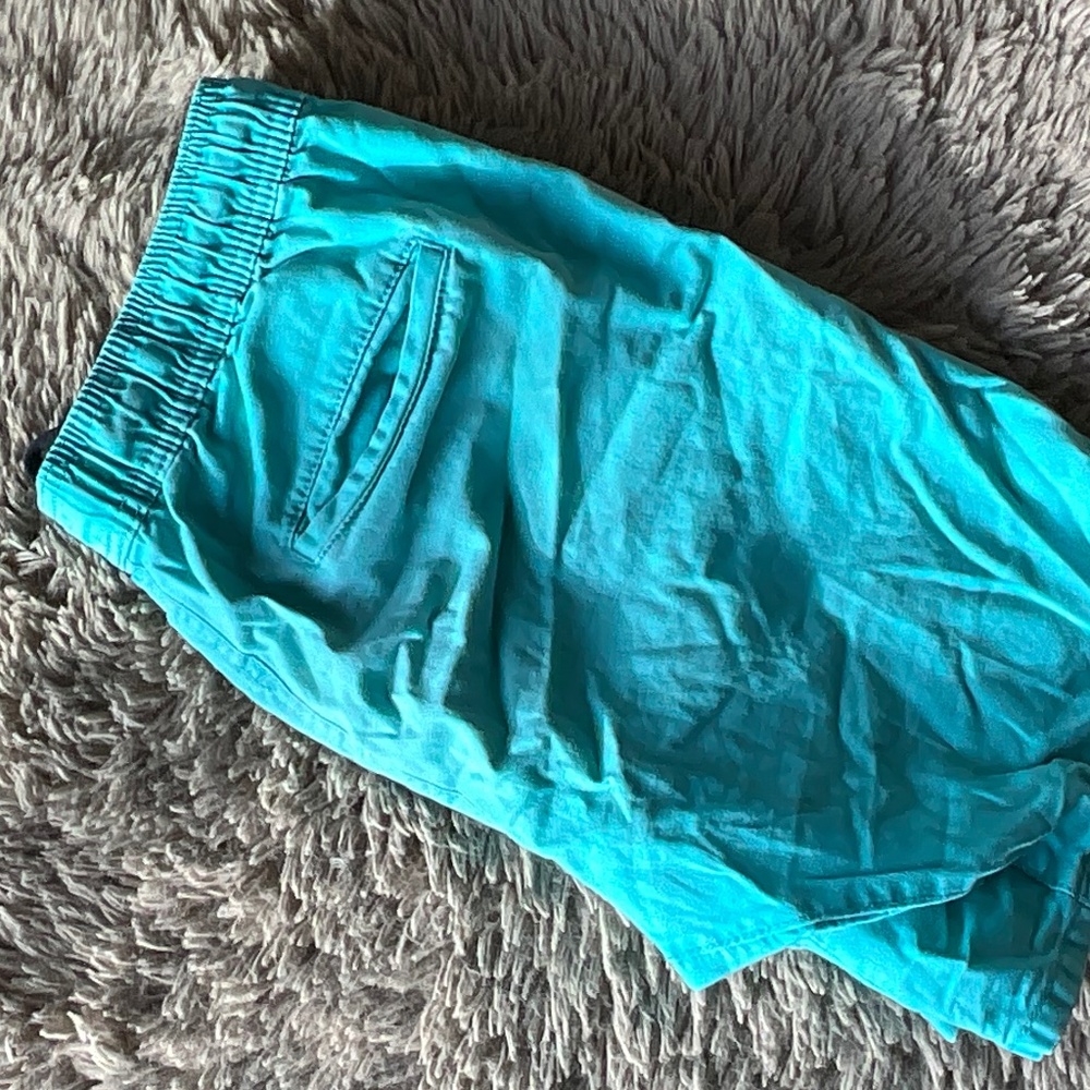 teal/blue mens swim shorts